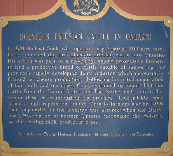 Plaque